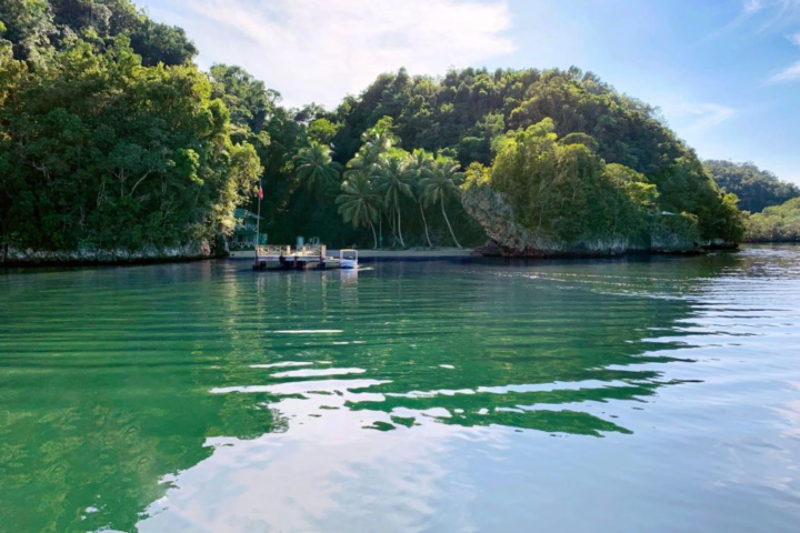 Las Galeras : Los Haitises Boat and Walking Tour with Lunch image