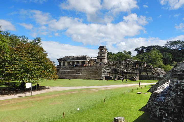 Palenque Tour image