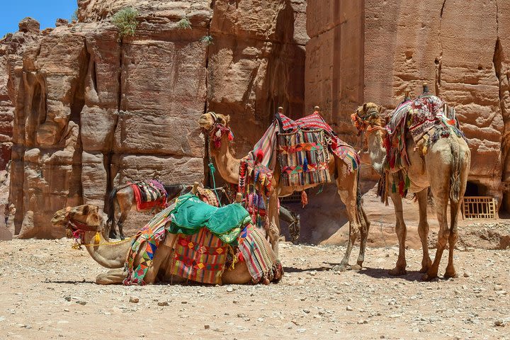 Aqaba Shore Excursion: Private Petra Sightseeing Tour with Lunch image