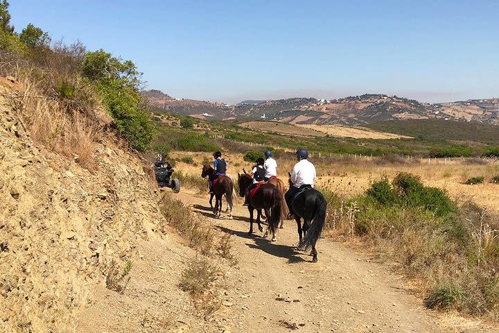 Horseback Riding: MNAR Hills Beginners - Tangier - 1 hour image