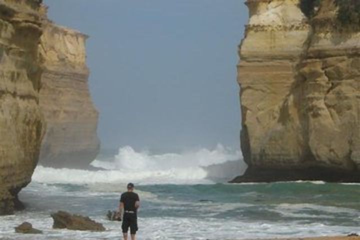 2-Day Great Ocean Road, Mornington Peninsula and Phillip Island Tour image