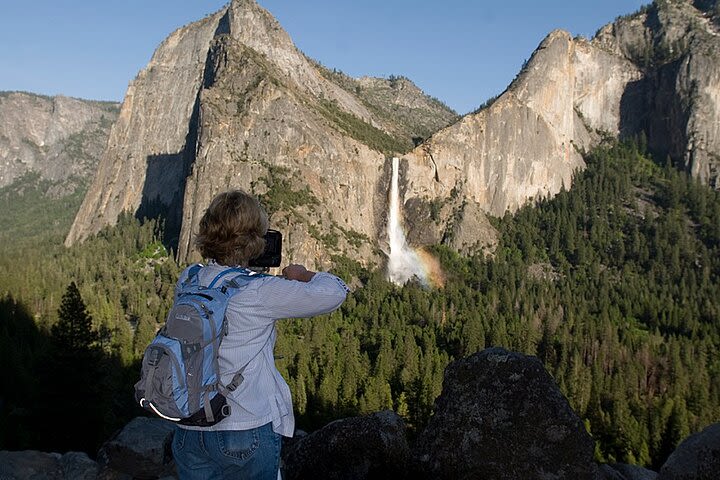 Experience Yosemite: Beginner or Advanced Photography Lesson image