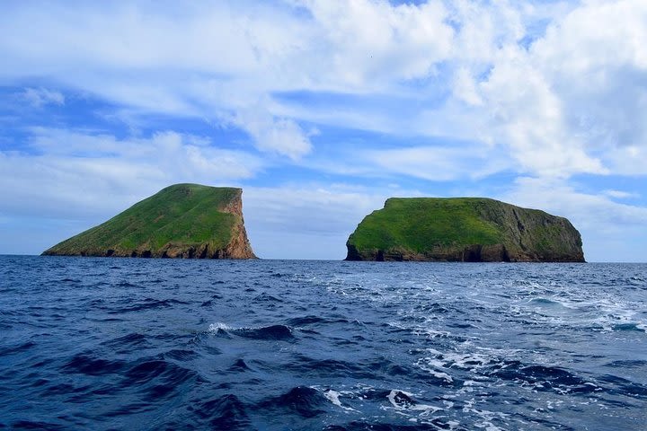 Boat Tour to Cabras Islets (2 hours) image