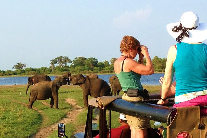 One Day Safari Tour to Both Yala and Udawalawe National Parks image