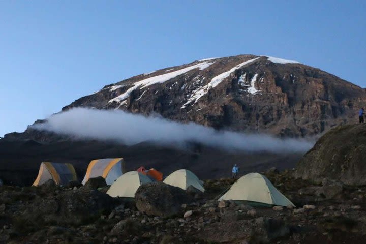 7 Days Private Climbing trough Machame Route to Kilimanjaro image
