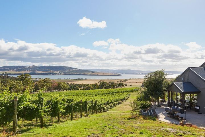 Tamar Valley Private Food and Wine Tour image