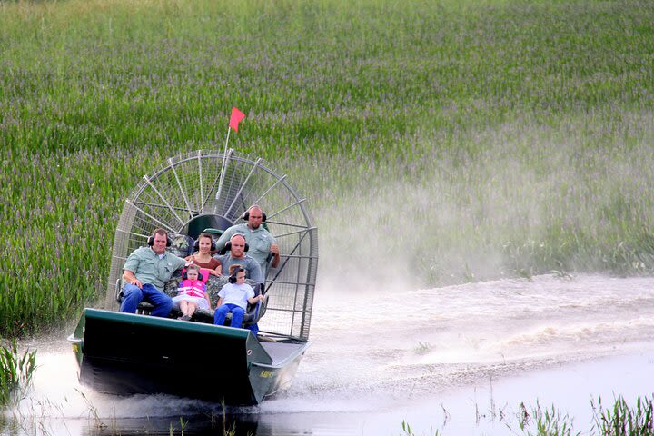 ALL INCLUSIVE Florida Everglades Airboat Tour + Wild Florida Day with Transport  image