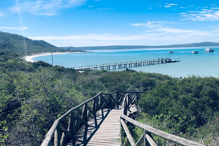 Private Guided Sightseeing Tour of West Coast National Park image