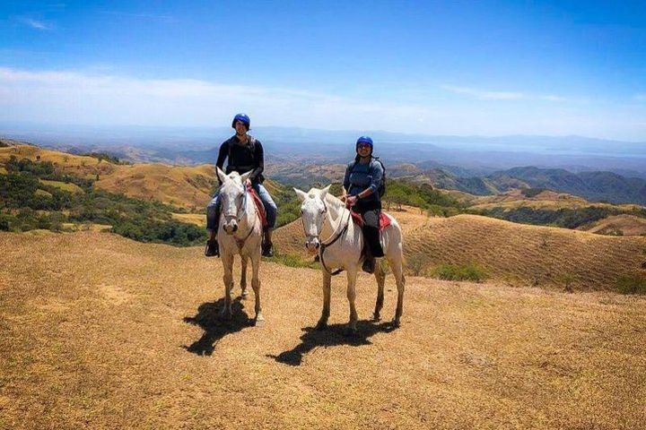 Horseback Riding Tour in Monteverde image