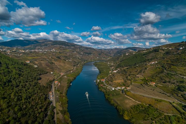 Cruise Porto-Régua-Porto (Upstream) image