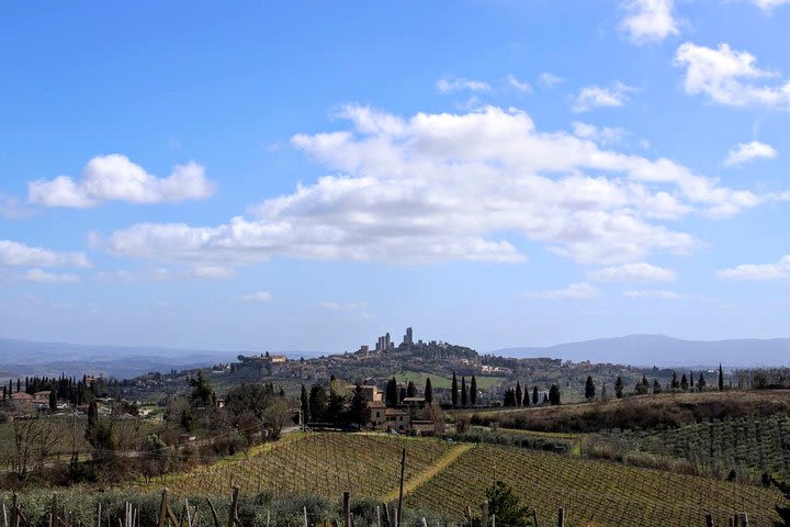 San Gimignano & Sunset Wine Tasting with Dinner in Farmhouse, from Florence image