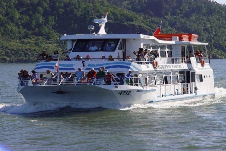 Isla Teja Navigation Tour in Valdivia image