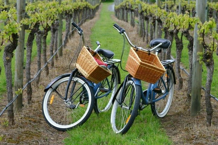 Mattituck New York Guided Farm and Wine Country Bike Tour image