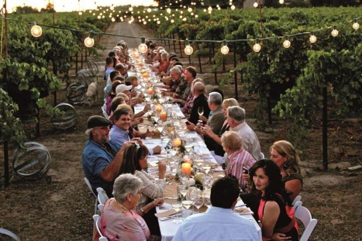 Tuscan Vineyard Dinner Experience image