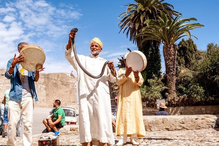 Full-day tour of Tangier in Morocco from Seville image