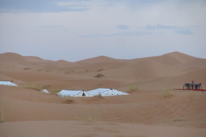 Magic Sahara Tour 3 Days 2 Nights image