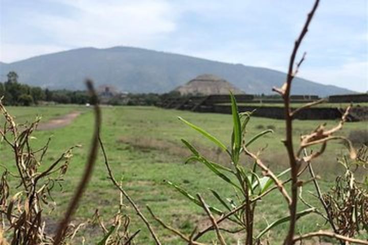 Teotihuacan y Basilica de Guadalupe Private Tour  image