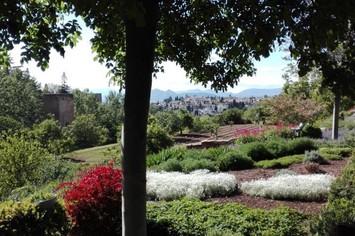 Alhambra and Generalife private tour. Total price per group image