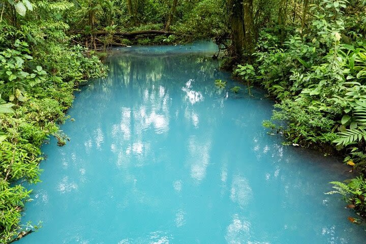 Rio Celeste Rainforest Hike image