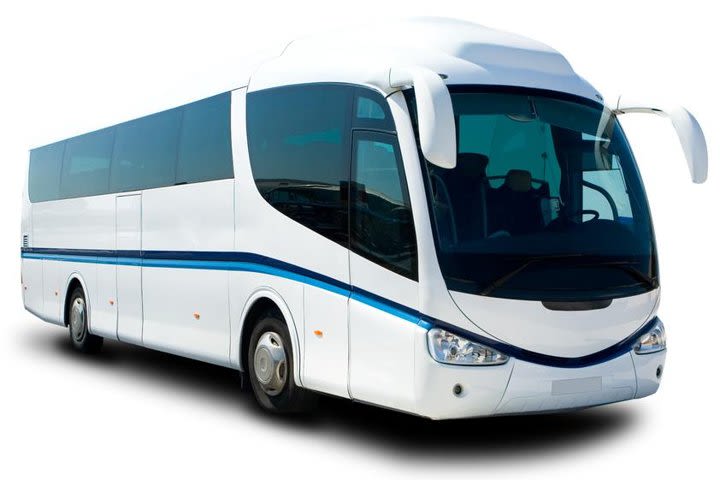 Arrival Shuttle Bus Transfers from Malta Airport to Your Hotel in Malta image