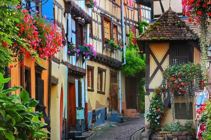 Alsace Region Wine Route Day Tour from Strasbourg  image