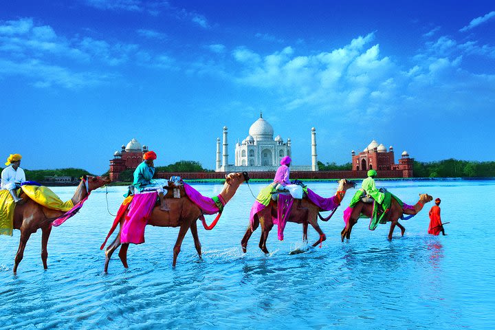 5 Days Private Golden Triangle Tour image