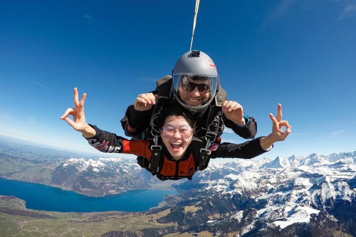 Interlaken Skydive Adventure from Zurich image