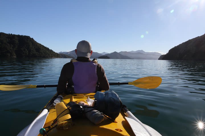 Half day Sea Kayak Guided Tour from Picton image