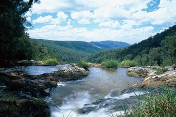 Springbrook National Park & Gold Coast Full Day Luxury Tour from Brisbane image