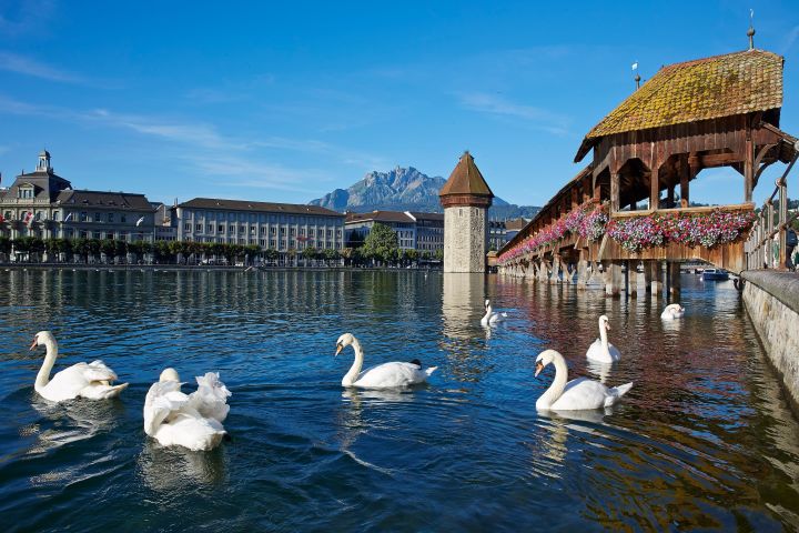 Lucerne Day Trip from Zurich with Lake Cruise image