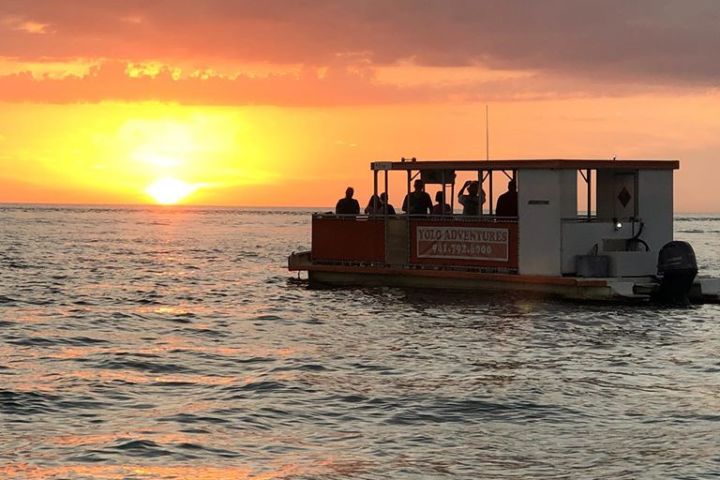 Sunset and Dolphin Cruise image