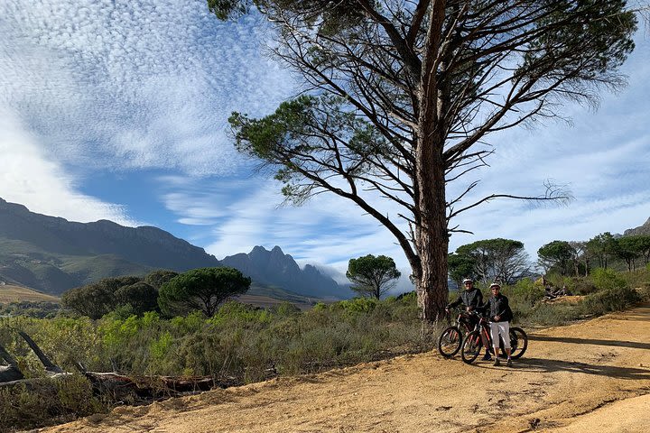 Jonkershoek Valley and Stellenbosch Ebike tour image