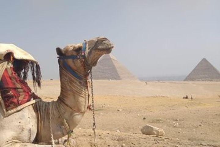 Stopover Tour: Giza Pyramids, Egyptian Museum with Lunch and Camel Ride image