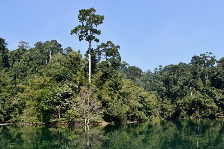 Full-Day Tour to Cheow Lan Lake in Khao Sok National Park from Krabi image