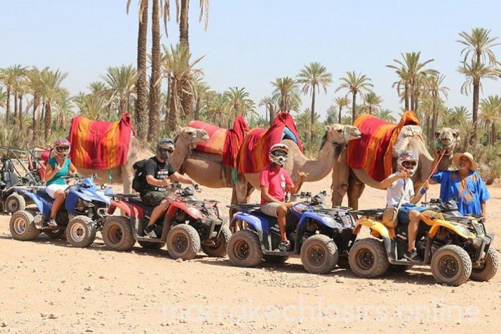 3 hour Marrakech Combined Camel Ride & Quad Bike Tour image