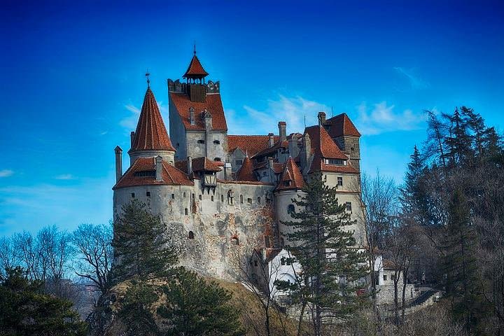 Bran Castle and Queen Marie museum - day trip from Brasov image