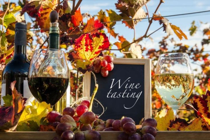 Chianti Farm Cooking Class & Wine Tasting image