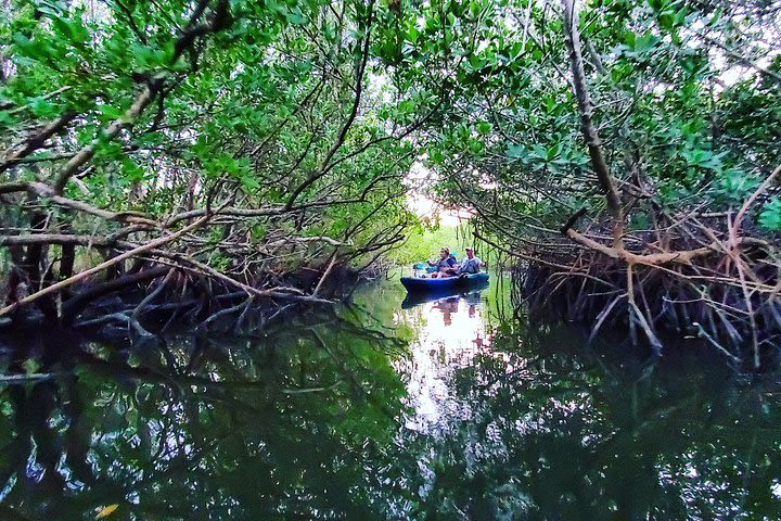 Thousand Islands Mangrove Tunnel Sunset Kayak Tour with Cocoa Kayaking! image