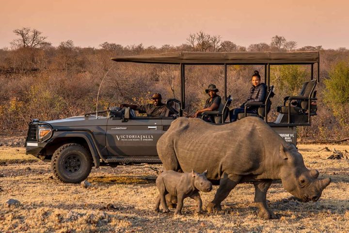 Victoria Falls: Night Game Drive and Bush Dinner image