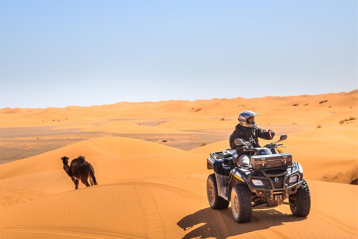 Desert Safari Red Dunes Dubai With 4x4 Atv Quad Bike 30 Min And Dinner Live Show image