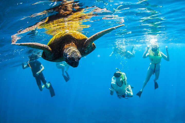 Kauai's Ultimate South Island Zodiac Boat Snorkel Adventure image