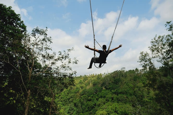 True Bali Swing - True Bali Experience image