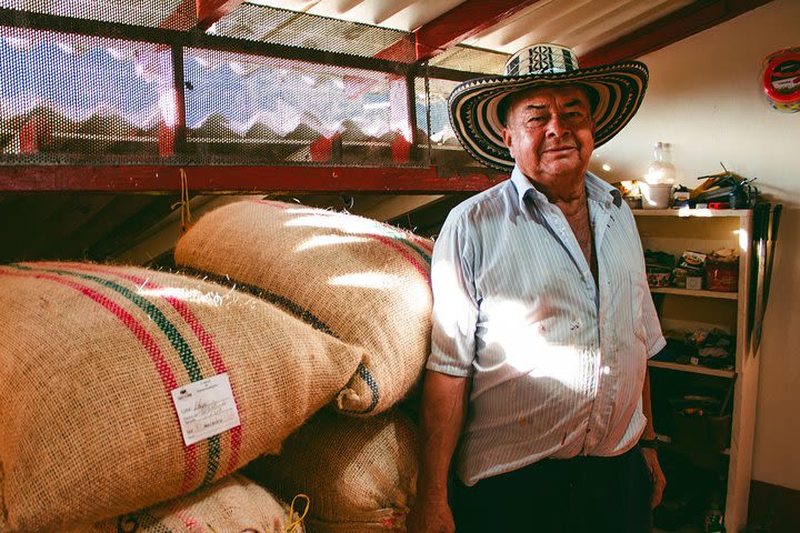 Private tour: Colombian Coffee Farm & Culture from Medellin - From crop to cup! image