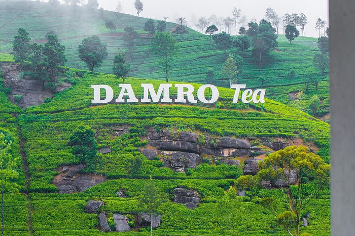 Ramboda falls and Tea factory Tour image