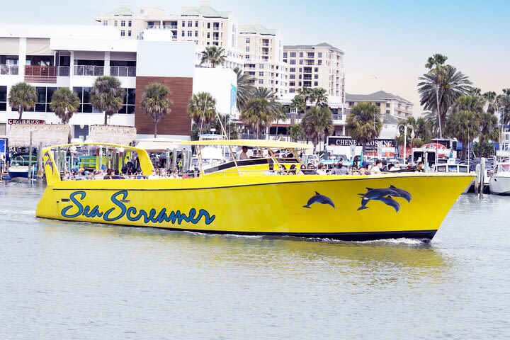 Clearwater Beach Dolphin Speedboat Adventure with Lunch & Transport From Orlando image