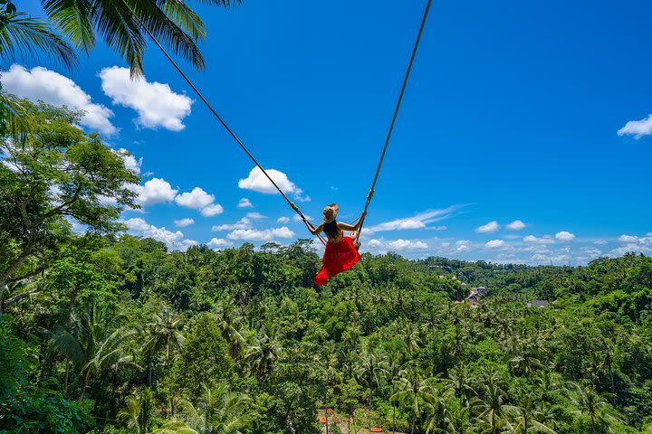 Best Experiences of Ubud Tour with Jungle Swing image