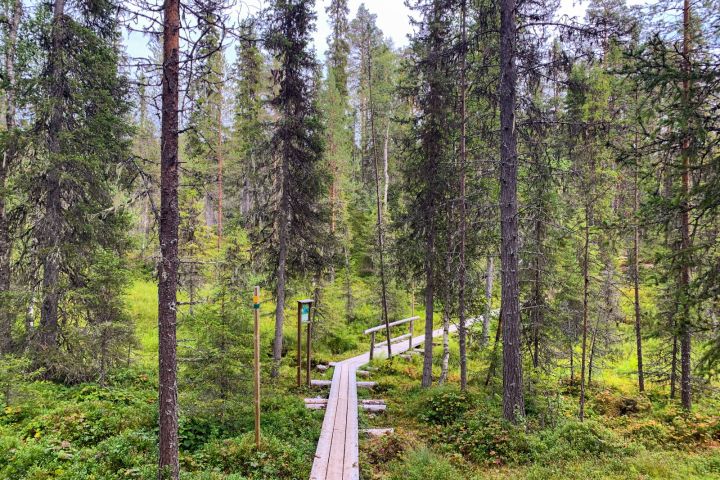 From Rovaniemi: Korouoma Canyon Wilderness Hike image