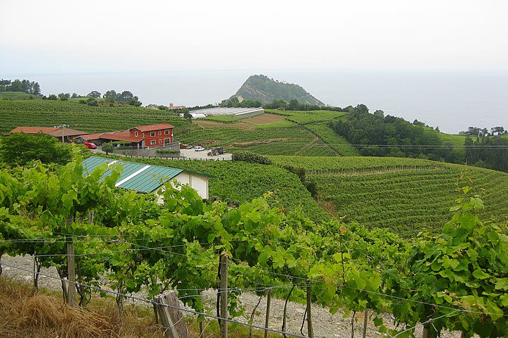  Txakoli winery small group tour with tasting in Getaria and Zarautz image