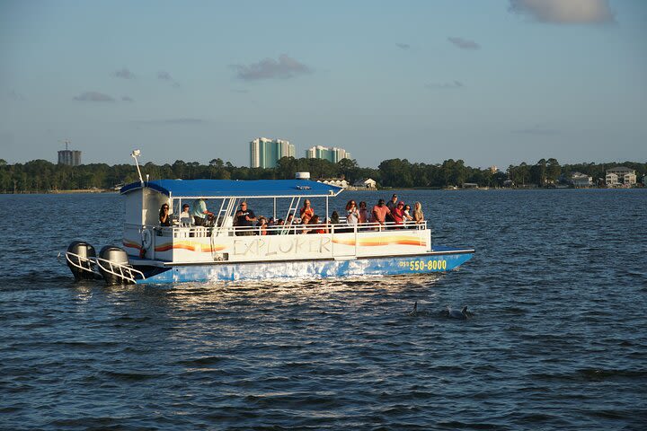 Orange Beach Dolphin Eco Boat Tour image