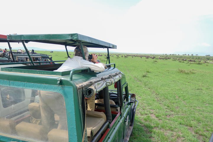 Masai Mara/ Lake Naivasha/ Nairobi 7 Days 6 Nights Luxury Safari Package image